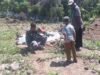 Dukung Ketahanan Pangan, Babinsa Keuneukai Turun Langsung Merawat Tanaman