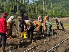 Dukungan Kodim 0112/Sabang Terhadap Ketahanan Pangan: Penanaman Perdana Padi Gogo dan Jagung Berjalan Sukses