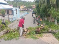 Respon Cepat: Babinsa Cot Abeuk Bersama Bhabinkamtibmas & Warga Bersihkan Pohon Tumbang, Jalan Kembali Lancar