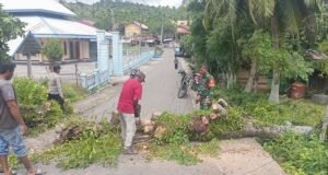 Respon Cepat: Babinsa Cot Abeuk Bersama Bhabinkamtibmas & Warga Bersihkan Pohon Tumbang, Jalan Kembali Lancar