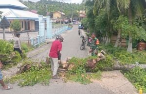 Respon Cepat: Babinsa Cot Abeuk Bersama Bhabinkamtibmas & Warga Bersihkan Pohon Tumbang, Jalan Kembali Lancar