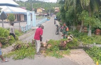 Respon Cepat: Babinsa Cot Abeuk Bersama Bhabinkamtibmas & Warga Bersihkan Pohon Tumbang, Jalan Kembali Lancar