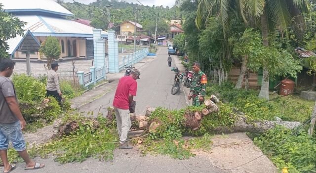 Respon Cepat: Babinsa Cot Abeuk Bersama Bhabinkamtibmas & Warga Bersihkan Pohon Tumbang, Jalan Kembali Lancar
