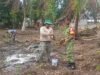 Komsos di Jurong Pantai Jaya: Babinsa Pantau Kendala Budidaya & Pemasaran Nilam