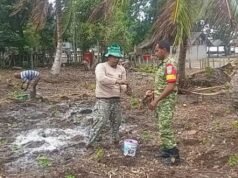 Komsos di Jurong Pantai Jaya: Babinsa Pantau Kendala Budidaya & Pemasaran Nilam
