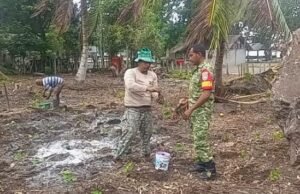 Komsos di Jurong Pantai Jaya: Babinsa Pantau Kendala Budidaya & Pemasaran Nilam