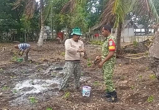 Komsos di Jurong Pantai Jaya: Babinsa Pantau Kendala Budidaya & Pemasaran Nilam