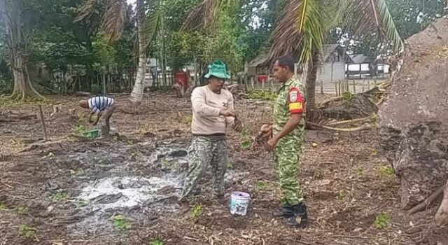 Komsos di Jurong Pantai Jaya: Babinsa Pantau Kendala Budidaya & Pemasaran Nilam