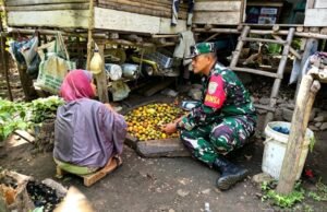 Hadir di Tengah Keseharian Warga, Babinsa Sertu Hendra Bantu Membelah Buah Pinang