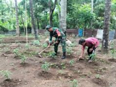 Babinsa Paya Seunara Turun Langsung ke Kebun, Dampingi Petani Rawat Tanaman Cabai Rawit