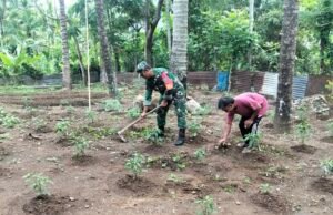 Babinsa Paya Seunara Turun Langsung ke Kebun, Dampingi Petani Rawat Tanaman Cabai Rawit