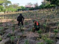 Babinsa Kuta Barat Laksanakan Pendampingan Kebun Cabai, Perkuat Ketahanan Pangan Warga