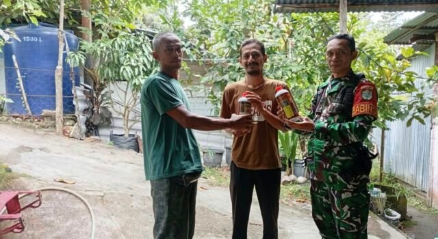 Dukung Produktivitas Tani: Babinsa Aneuk Laot Dampingi Penyaluran Pupuk Cair Organik