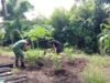 Beri Semangat Petani, Babinsa 07 Keuneukai Perkuat Ketahanan Pangan Lewat Palawija
