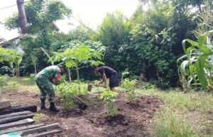 Beri Semangat Petani, Babinsa 07 Keuneukai Perkuat Ketahanan Pangan Lewat Palawija