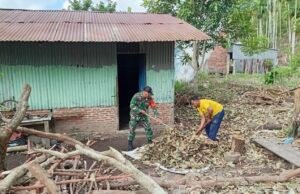 Babinsa Batee Shoek Hadir Cepat, Bantu Warga Bersihkan Dahan & Daun Pohon Tumbang