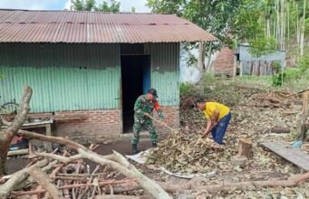 Babinsa Batee Shoek Hadir Cepat, Bantu Warga Bersihkan Dahan & Daun Pohon Tumbang