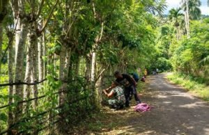 Babinsa Keuneukai Bersama Warga Perbaiki Pagar Kebun, Semangati Warga Tingkatkan Hasil Berkebun