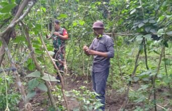 Lahan Kosong Jadi Ladang Harapan, Babinsa Ie Meulee Dampingi Petani Tanam Kacang Panjang