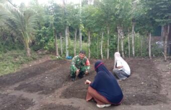 Pekarangan Posyandu Disulap Jadi Kebun Sayur, Babinsa dan Ibu PKK Balohan Kompak Dukung Ketahanan Pangan