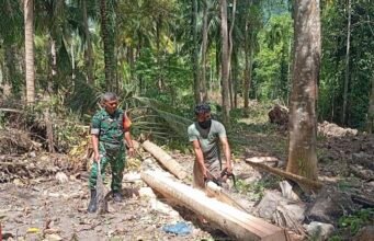 Babinsa Cot Abeuk Bantu Olah Kayu Kelapa Jadi Material Rumah Warga