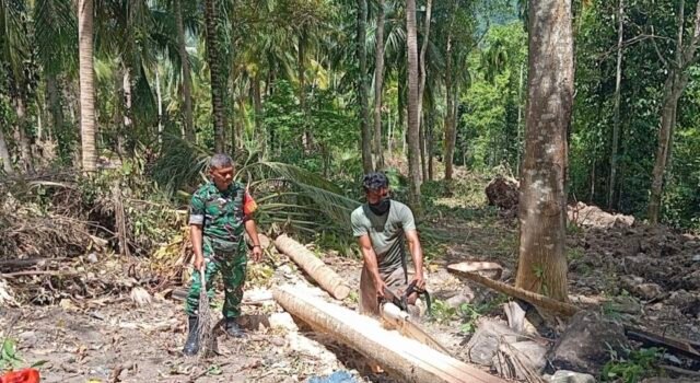 Babinsa Cot Abeuk Bantu Olah Kayu Kelapa Jadi Material Rumah Warga