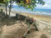 Babinsa Kuta Ateuh Bantu Warga Bangun Tembok Penahan Abrasi di Pantai Paradiso