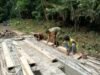 Tahap Demi Tahap, Babinsa dan Warga Terus Kejar Target Pengerjaan Pembangunan Jembatan Beton Jaboi