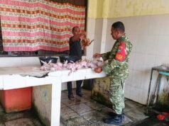 Babinsa Kuta Barat Pantau Harga Ayam Potong di Pasar, Pastikan Stabilitas Harga Kebutuhan Warga