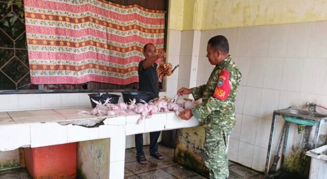 Babinsa Kuta Barat Pantau Harga Ayam Potong di Pasar, Pastikan Stabilitas Harga Kebutuhan Warga
