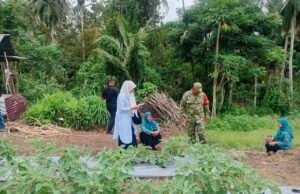 Babinsa dan Keuchik Batee Shoek Turun ke Kebun PKK, Dukung Ketahanan Pangan dari Gampong
