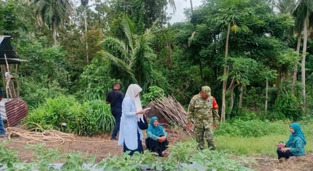 Babinsa dan Keuchik Batee Shoek Turun ke Kebun PKK, Dukung Ketahanan Pangan dari Gampong