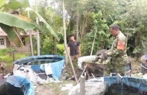 Dampingi Budidaya Ikan Air Tawar, Babinsa Kuta Timu Dorong Ketahanan Pangan Warga