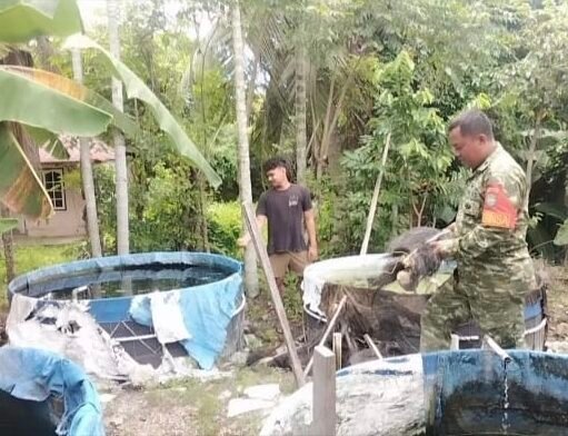 Dampingi Budidaya Ikan Air Tawar, Babinsa Kuta Timu Dorong Ketahanan Pangan Warga